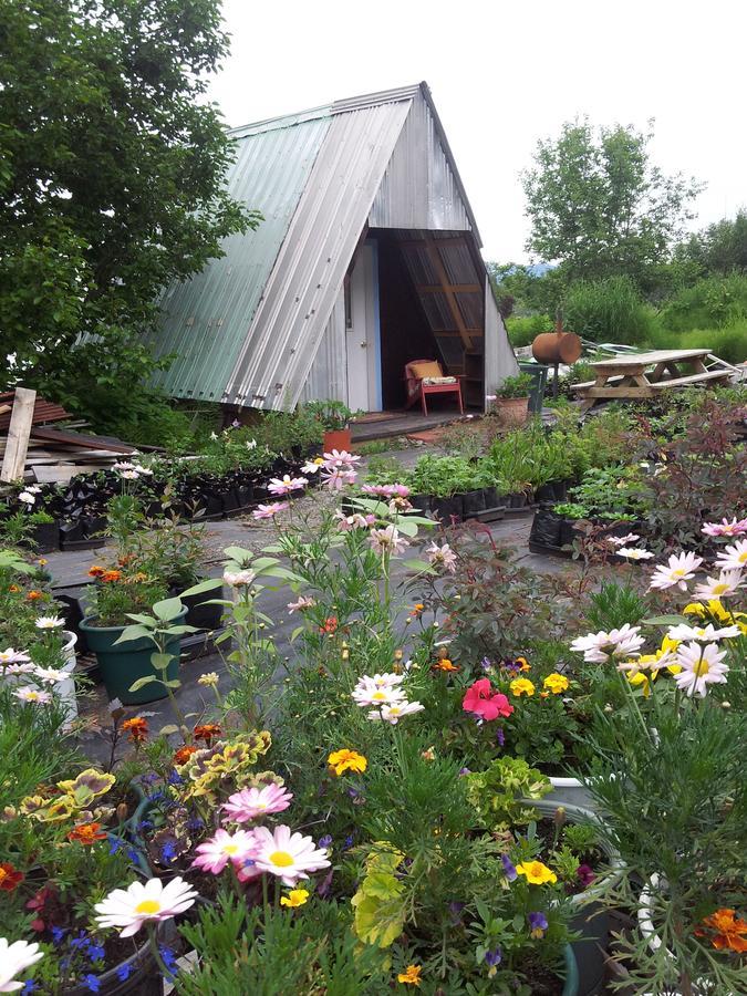 Cottonwood Cabins Fritz Creek Exterior foto